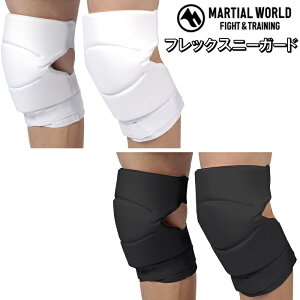 }[V[h  Eg tbNXj[K[h GT| ЂT|[^[ xN^Cv 蓹 KGP1