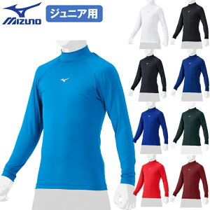 ~Ym 싅 qp WjAp nClbN  A_[Vc RۖhL hH [YtBbgA_[Vc z Xgb` y 12JAAP51