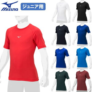 ~Ym 싅 qp WjAp [lbN  ێ A_[Vc RۖhL hH [YtBbgA_[Vc z Xgb` y 12JAAP52