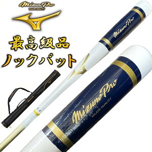 y1{obgP[XtzzCg×S[h ~Ymv 싅 ؐ mbNobg IWifUC 91cm 550g bsOs BC1-MBAT08yv[gbsOsz