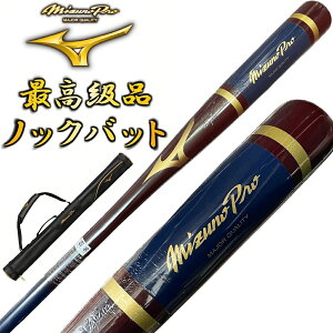 y1{obgP[XtzGW×lCr[ ~Ymv 싅 ؐ mbNobg IWifUC 91cm 550g bsOs BC1-MBAT09yv[gbsOsz