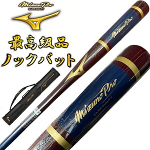 y3{obgP[XtzGW×lCr[ ~Ymv 싅 ؐ mbNobg IWifUC 91cm 550g bsOs BC3-MBAT09yv[gbsOsz