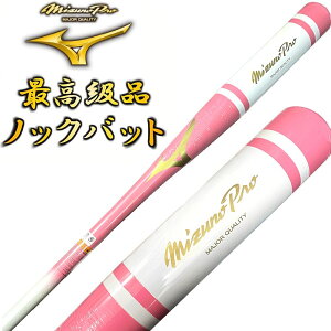 sN×zCg ~Ymv 싅 ؐ mbNobg IWifUC d  \tg{[ p 91cm 550g { MBAT05yv[gbsOsz