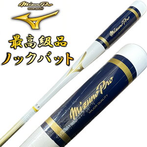 zCg×S[h ~Ymv 싅 ؐ mbNobg IWifUC d  \tg{[ p 91cm 550g {yv[gbsOsz MBAT08