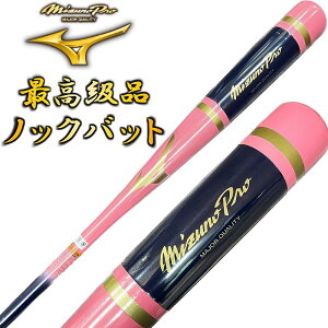 sN×lCr[ ~Ymv 싅 ؐ mbNobg IWifUC d  \tg{[ p 91cm 550g { v[gbsOs MBAT11yv[gbsOsz