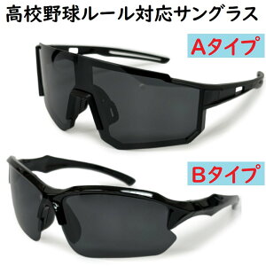 Z싅[Ή TOX ΌY ΌTOX 싅 1Nۏ X|[c AEghA ϐ LSALI026