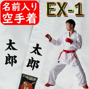 yl[hJz 蒅㉺Zbg  gp 蓹ܕtyEX-1 GNZg1z TKDSI-EX1