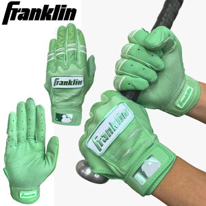 tN 싅 obeBOO[u  p Ŏҗp Franklin 208