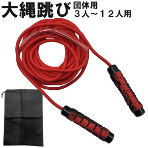 ꒵ 3l`12lp 5m 7m 10m ȂƂ c̗p WsO[v Wv[v   ꒵ [v qǂ V w@Ci[X|[cIWi LSALI062