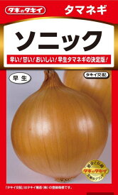 野菜種 タマネギ 早生種