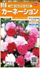 実咲花7100 カーネーションシャボージャイアントミックス