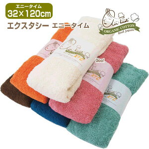 ^I n[toX^I ڂ^I GA[ GNX^V[ Gj[^C^I 32×120cm RpNgn[t TCY Q