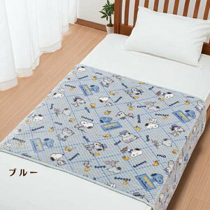 Mtg bsO ѕz uPbg  Xk[s[ n[tѕz 100x140cm PN1657BD Xk[s[n[tPbg ѕz