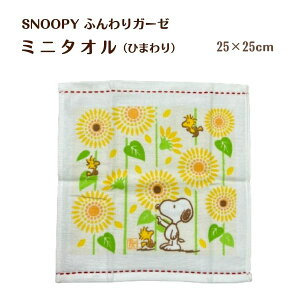 ^I Xk[s[ ӂK[[ ~j^I TbNX Ђ܂ 25×25cm  100%