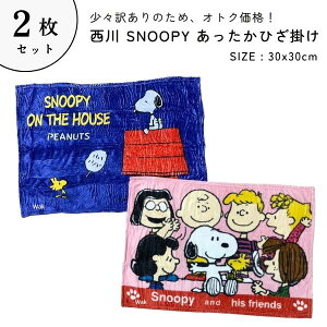 Mtg bsO Ђ|ѕz@2głɂ@킯@Xk[s[@ӂЂ|@sN SP-163HZ@u[ SP-595HZ 100×70cm