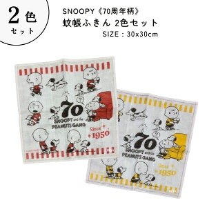 Xk[s[@2g@@ᒠӂ@70N 30×30cm ᒠn SP4490 100% LN^[@100