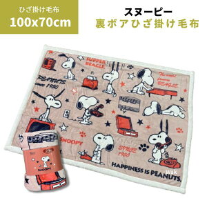 Mtg bsO ѕz uPbg Xk[s[ SNOOPY  {AЂ|ѕz ӂӂ uPbg 70×100cm PN2670BD@@@Ђ