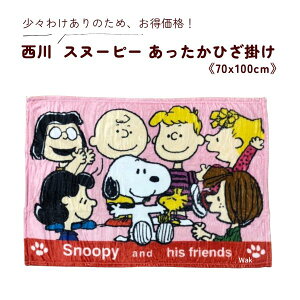 Mtg bsO X󂠂łi@Xk[s[@ӂЂ|@SP-163HZ@100×70cm@sN