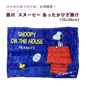 Mtg bsO X󂠂łi@Xk[s[@ӂЂ|@SP-595HZ@100×70cm@u[