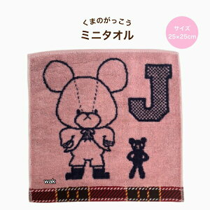 ^I ^InJ` ܂̂~j^I nJ` vbs[WbL[ 10 sN 25×25cm 샊rO 100% KG2407