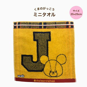 ^I ^InJ` ܂̂ ~j^I nJ` vbs[WbL[ 43 CG[ 25×25cm 샊rO 100% KG2406