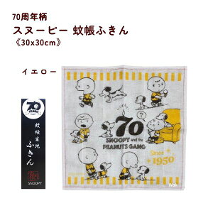 Xk[s[@ᒠӂ@70N 30×30cm ᒠn SP4490 100% LN^[@100