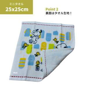 ^I Xk[s[ ӂK[[ ~j^I TbNX ACX 25×25cm  100%