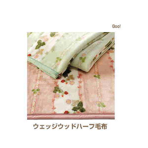 Mtg bsO ѕz Pbg  EFbWEbh n[tPbg TCY 140×100cm EGbWEbhѕz uPbg AN Yѕz {