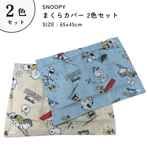 Jo[2FZbg Xk[s[ s[P[X 65×45cm PN3401ZC |GXe100%