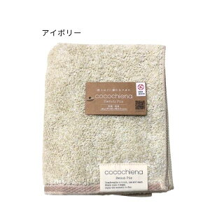 RR`Gi2 tFCX^I 34x80cm  cocochiena S10F XCb`pC WJ[ @H RR`GitFCX^I