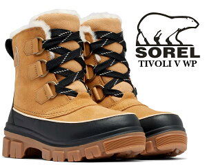 ȊN[|s!!y\ eB{5@EH[^[v[tzSOREL TIVOLI V WP CURRY BLACK/CURRY NOIR nl5113-373 fB[X J[ uE ubN ۉ h