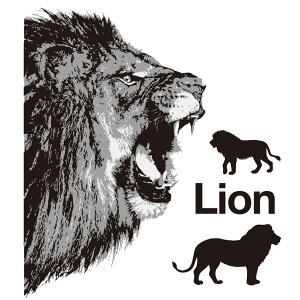 MU3EH[XebJ[ CI {  Aj} V[ mN mg[ ǎ |X^[ hA gC k