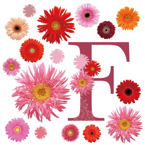 MU3EH[XebJ[ K[x MTCY { t[  V[ k C hA gC k