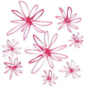 MU3EH[XebJ[ t[ STCY { sN  V[ k C hA gC k