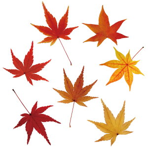 EH[XebJ[ gt ݂ H MU3 { [t  V[ ǎ C hA gC k CN tH[