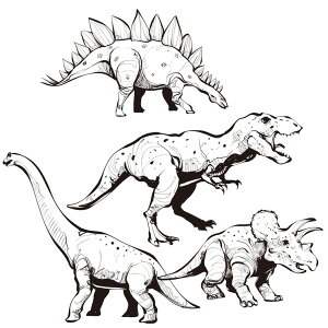 EH[XebJ[  MU3 { _Ci\[ eBmTEX V[ ǎ C hA gC k CX^