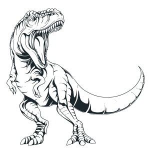 EH[XebJ[ eBmUEX  _Ci\[ Iׂ20F MU3 { V[ ǎ C hA gC CX^ f DIY tH[ CN