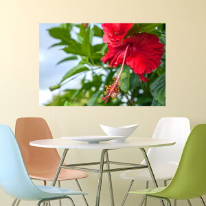 ǎ |X^[ nCrXJX EH[XebJ[ { r[`  C 썑 T}[  t[ V[ R iF ʐ^ G A[g DIY tH[ CN CX^ f