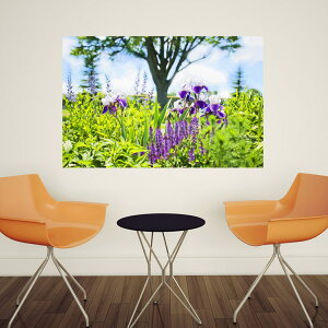 ACX ǎ NX EH[XebJ[ t[  Ҋ Ԕ K[fjO  |X^[ ʐ^ ǉ ʐ^ G V[