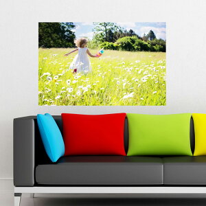 Ԕ  EH[XebJ[ ǎ NX Cht[ zCg K[fjO |X^[  ʐ^ ǉ ʐ^ G V[