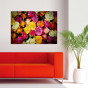 {EH[XebJ[ [Y o t[ KN ԑ A i iF ʐ^ G V[ |X^[