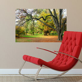 日本製ウォールステッカー 秋の散歩道 木々 紅葉 森林 公園 ポスター 海外旅行 風景 景色 写真 絵画 シール