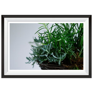 EH[XebJ[ O[ vc t[ g { MU3 ǎ V[ A T{e G A[g fUC |X^[