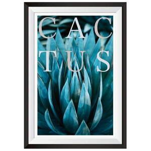 EH[XebJ[ CACTUS T{e t[ g { MU3 ǎ A O[ G A[g |X^[