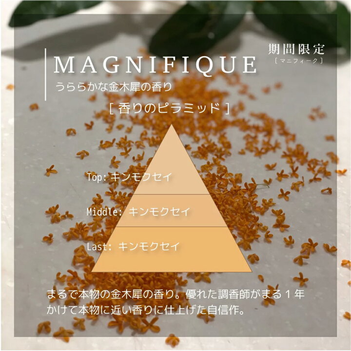 楽天市場 詰め替え用 ボタニークフォーク リードディフューザー レフィル 0ml マニフィーク 金木犀 詰替え ルームフレグランス 玄関 リビング 寝室 良い香り おすすめ ランキング Botanicfolk Luastyle ルーアスタイル 楽天市場 詰め替え用 ボタニークフォーク リードディフューザー レフィル 0ml マニフィーク 金木犀 詰替え ルームフレグランス 玄関 リビング 寝室 良い香り おすすめ ランキング Botanicfolk Luastyle ルーアスタイル