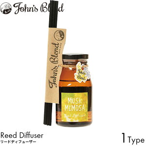 WYuh [hfBt[U[ XN~U 140ml [tOX A}fBt[U[ F  N[[bg   LO John's Blend