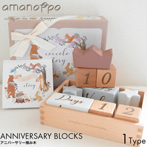 amanoppo ܂̂ Ajo[T[݂ cocole story cocory friends RbRXg[[ RR[  ubN ObY ςݖ LO Ajo[T[ Mtg v[g mߋ  a