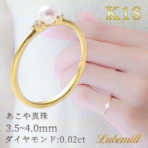 yƎCxg"^̉Ԃ"zy14()20JnN[|zzIz p[ O w k18 7 ꗱ p[O JWA 18 18k fB[X  Vv  CG[S[