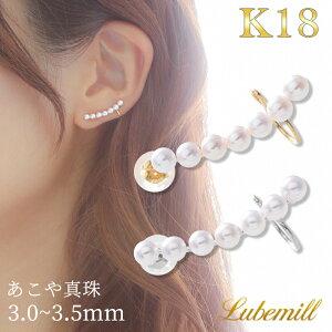 yƎCxg"^̉Ԃ"zy16܂ŌN[|zzIz p[ sAX 18k p[sAX 18 k18 C[Jt C fB[X S[h  Vv  w 