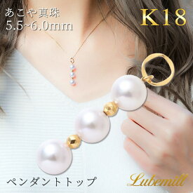 パール ペンダントトップ ピアスチャーム チャーム 18k 18金 ネックレス ピアス ライン カジュアル レディース シンプル フォーマル アジャスター ゴールド 結婚式